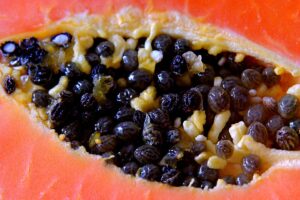 Papaya Kerne essen